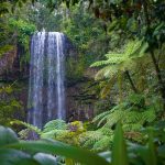 beautiful waterfalls on the athe 13083 1024x682 150x150 - Restaurants and Bars to Visit in and Near Cairns