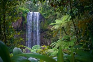 beautiful waterfalls on the athe 13083 1024x682 300x200 - Things To Do in Cairns